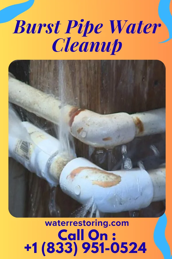 Burst Pipe Water Cleanup in Vera Cruz, IN