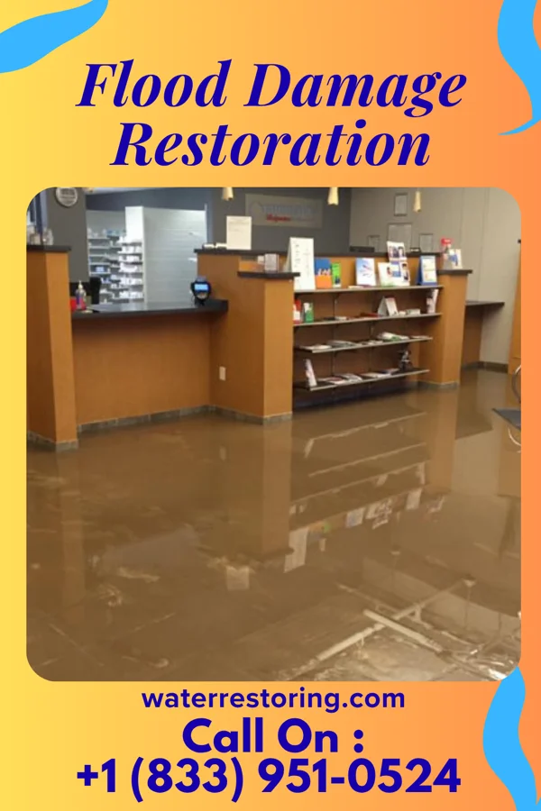 Flood Damage Restoration in Vera Cruz, IN