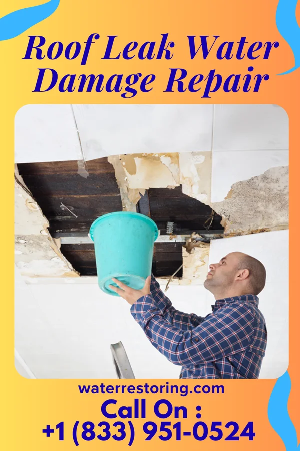 Roof Leak Water Damage Repair in Vera Cruz, IN
