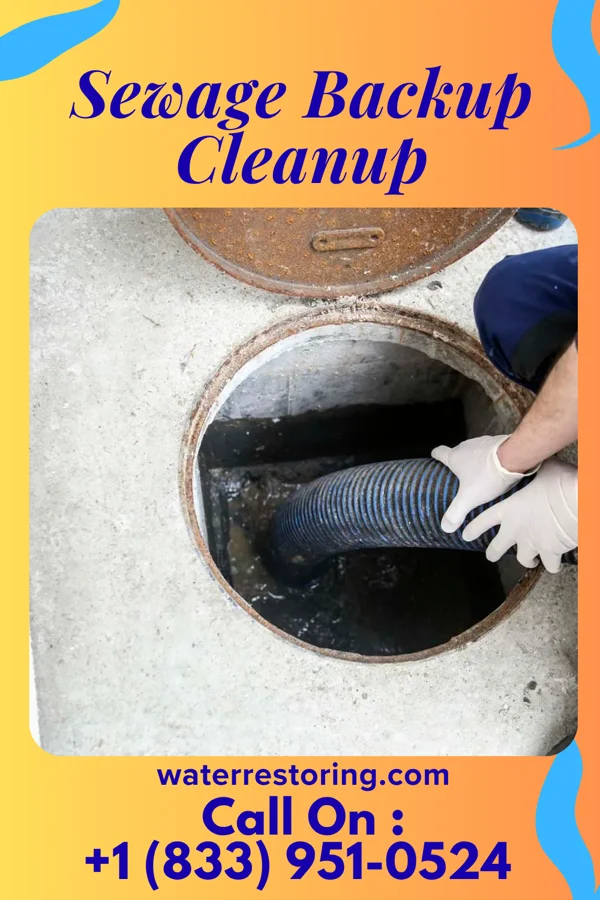 Sewage Backup Cleanup in Vera Cruz, IN