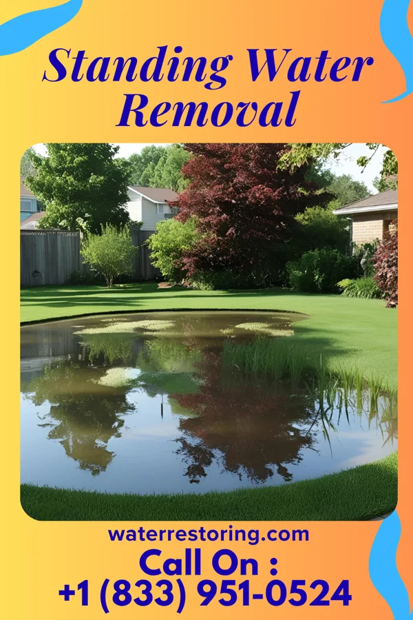 Standing Water Removal in Vera Cruz, IN